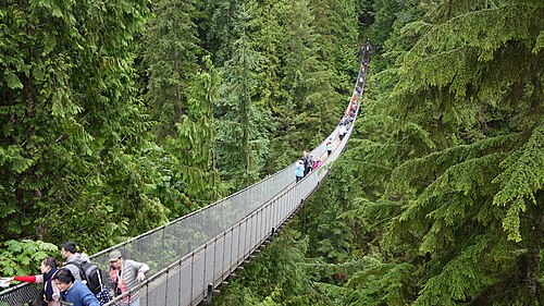 Capilano Suspension Bridge Park